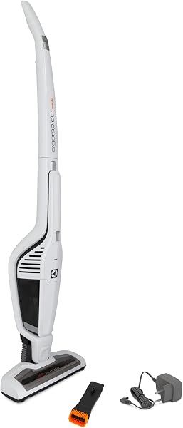 Aspirador de Pó Electrolux ERG21